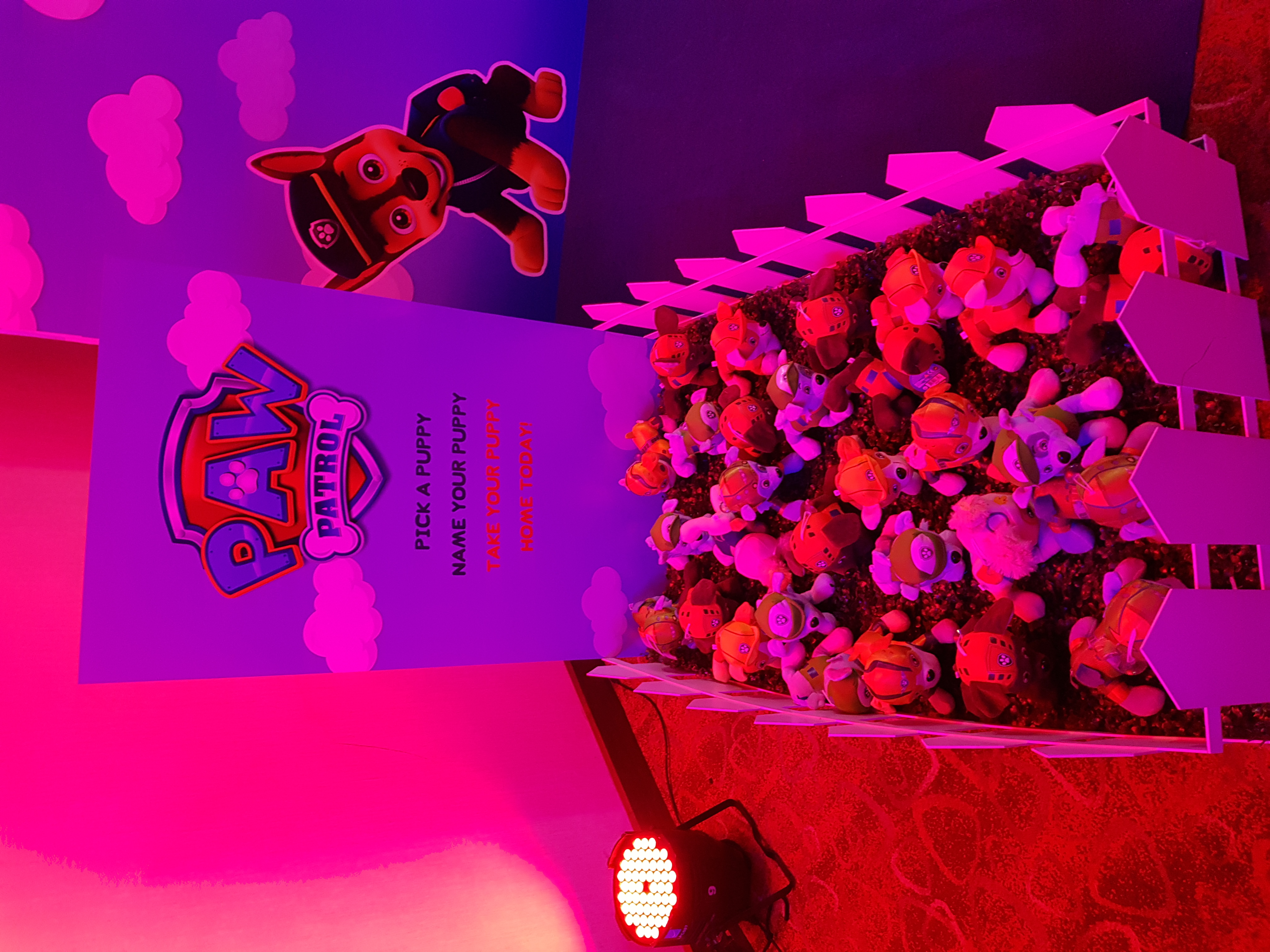 Birthday Event - Image 3